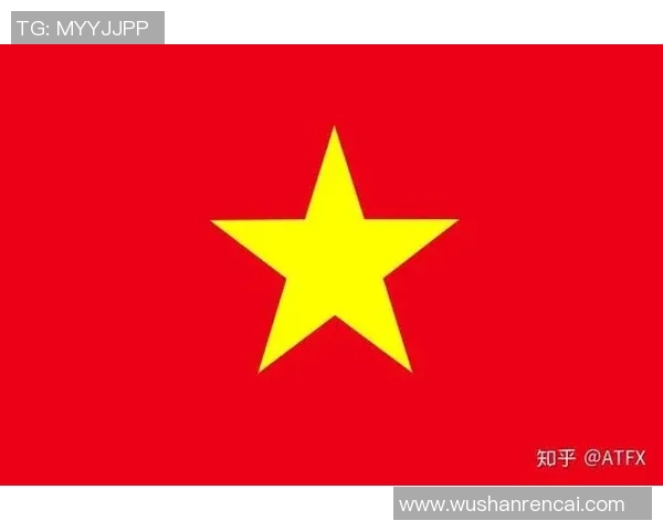 泰国与越南足球对决精彩回顾及比分分析