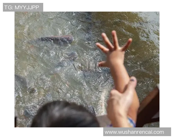 芹苴鲶鱼与河内水牛的美味对决探秘越南传统美食文化